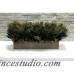 Bougainvillea Greenery in Stained Wooden Container with Cone BVZ1123